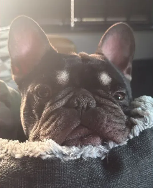 CallumBossThorpe's banner