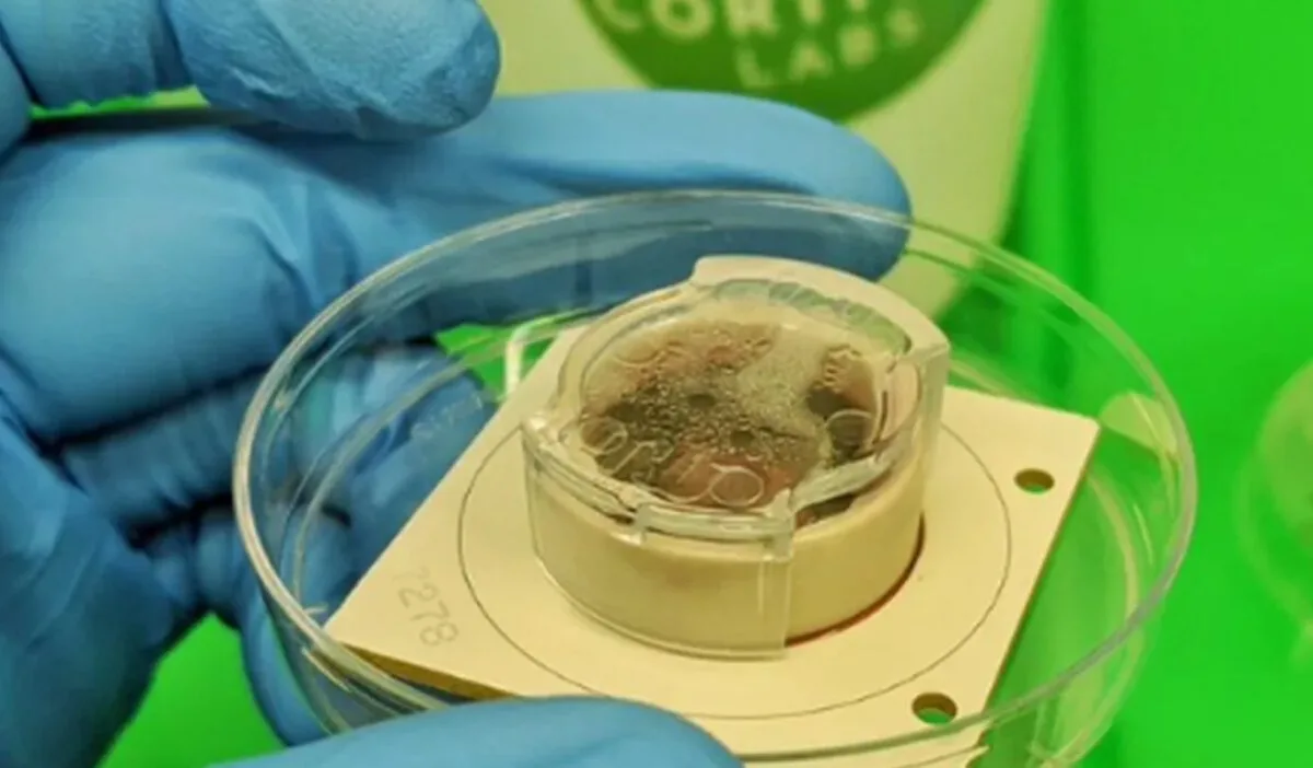 The Doom-playing Dish: Cortical Labs' Biological Chip
