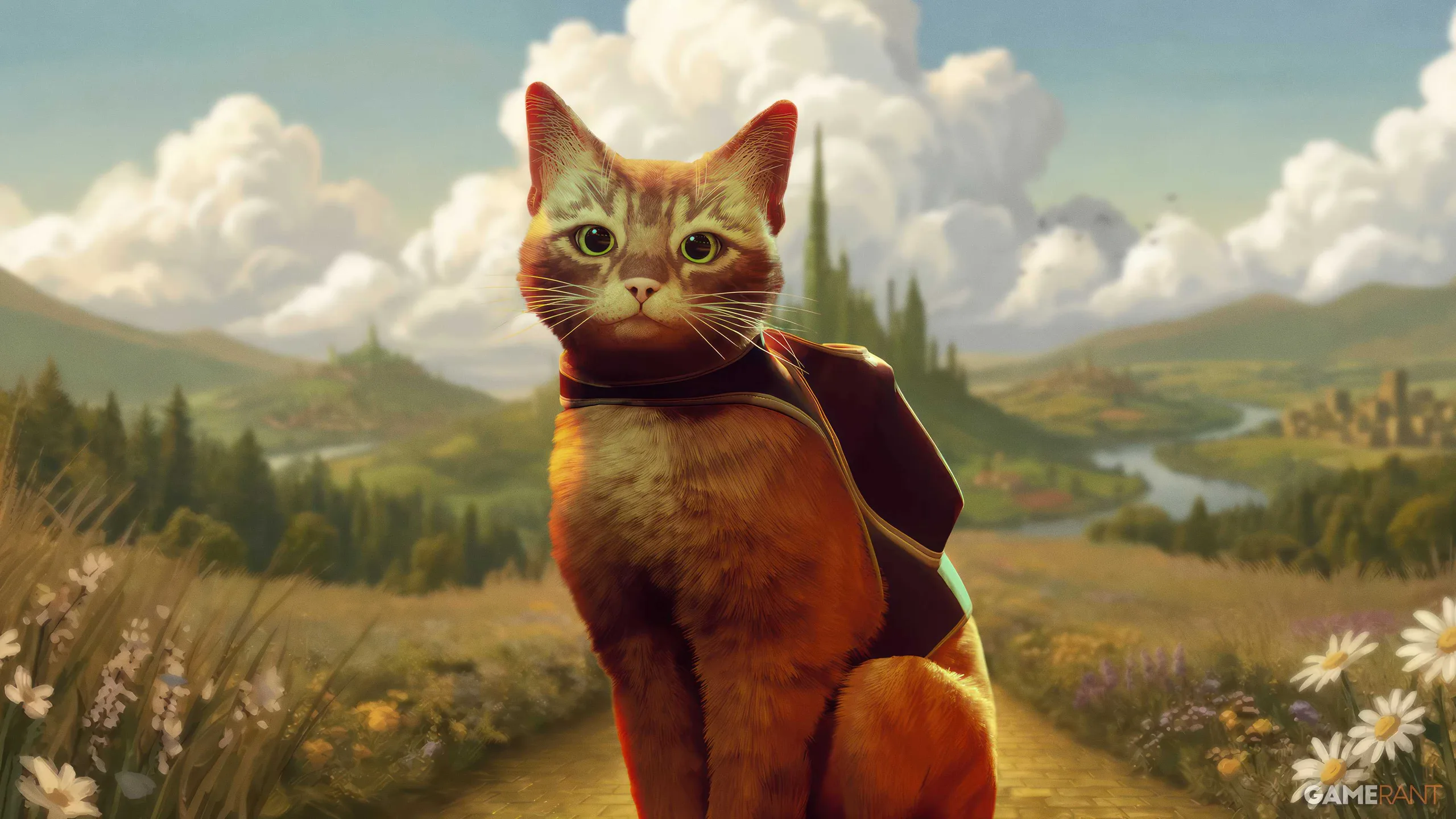 stray cat in front of totos journey background