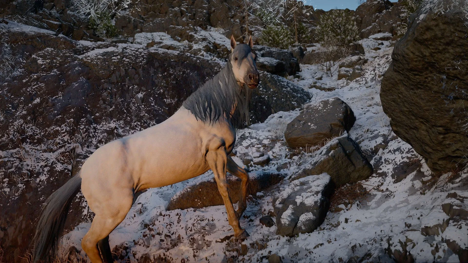 How to Get Every Legendary Mount in Crimson Desert – No Phoenix Exists (Full Guide)