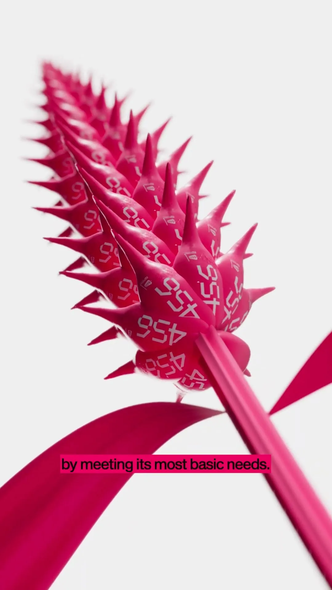 The Beta Backlash: Data and Feedback Reveal a Steep Cliff