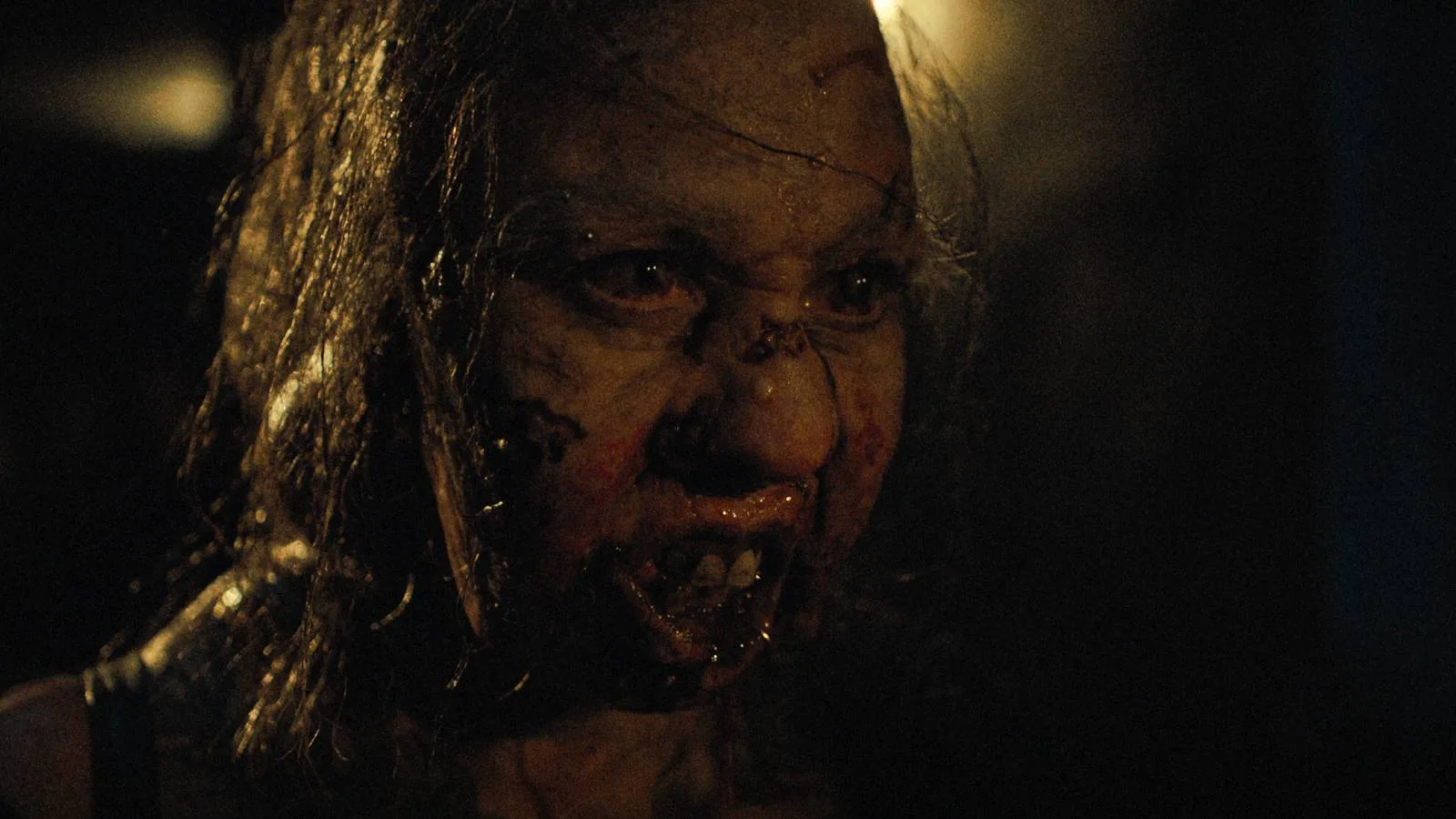 Plot and Tone – Survival Horror Comes to Life