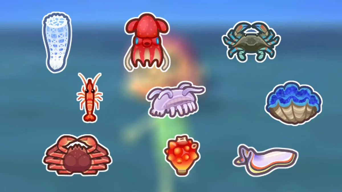 The Grounded Success Story