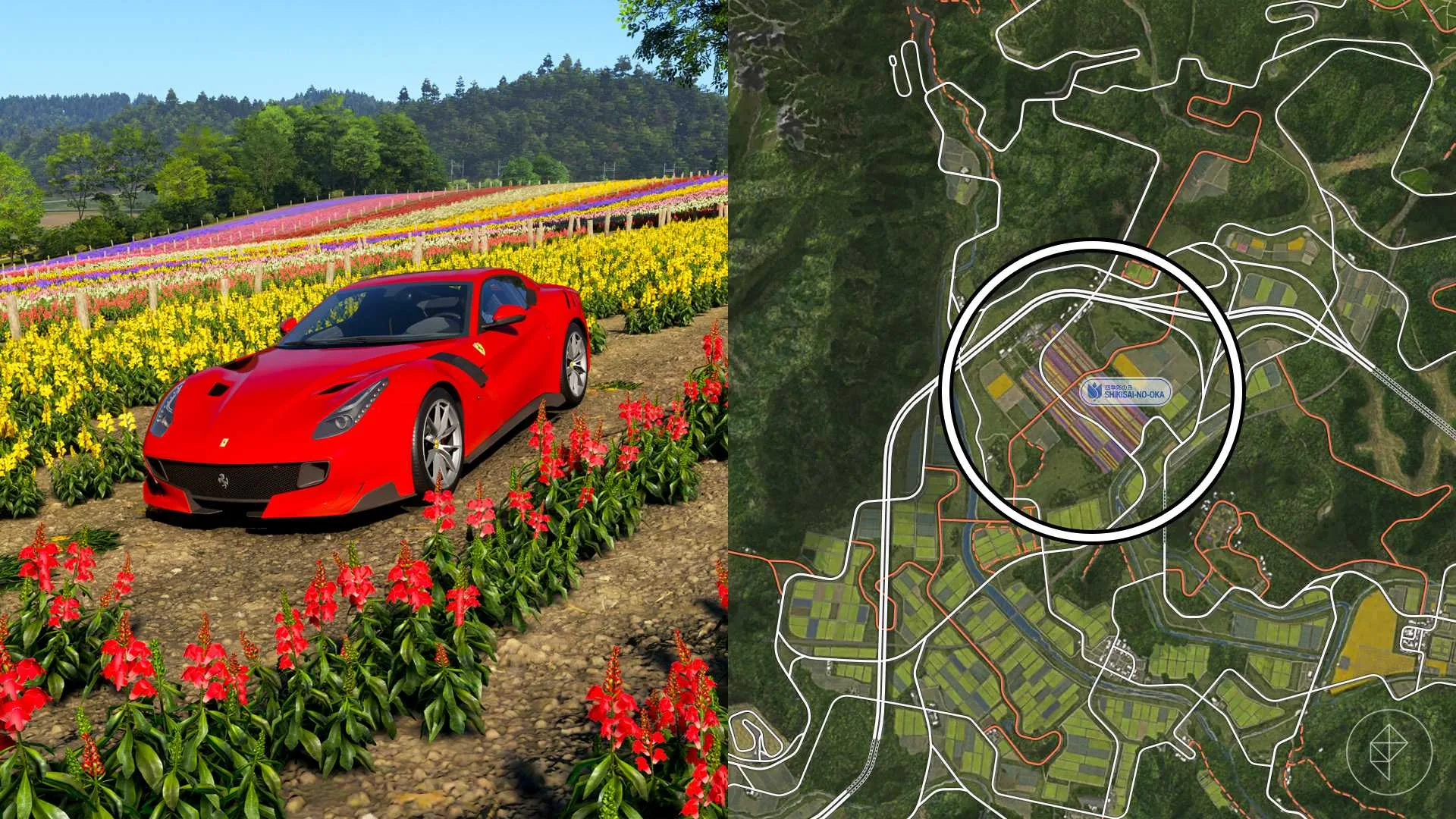 The location of Shikisai-no-oka circled on the Forza Horizon 6 map.