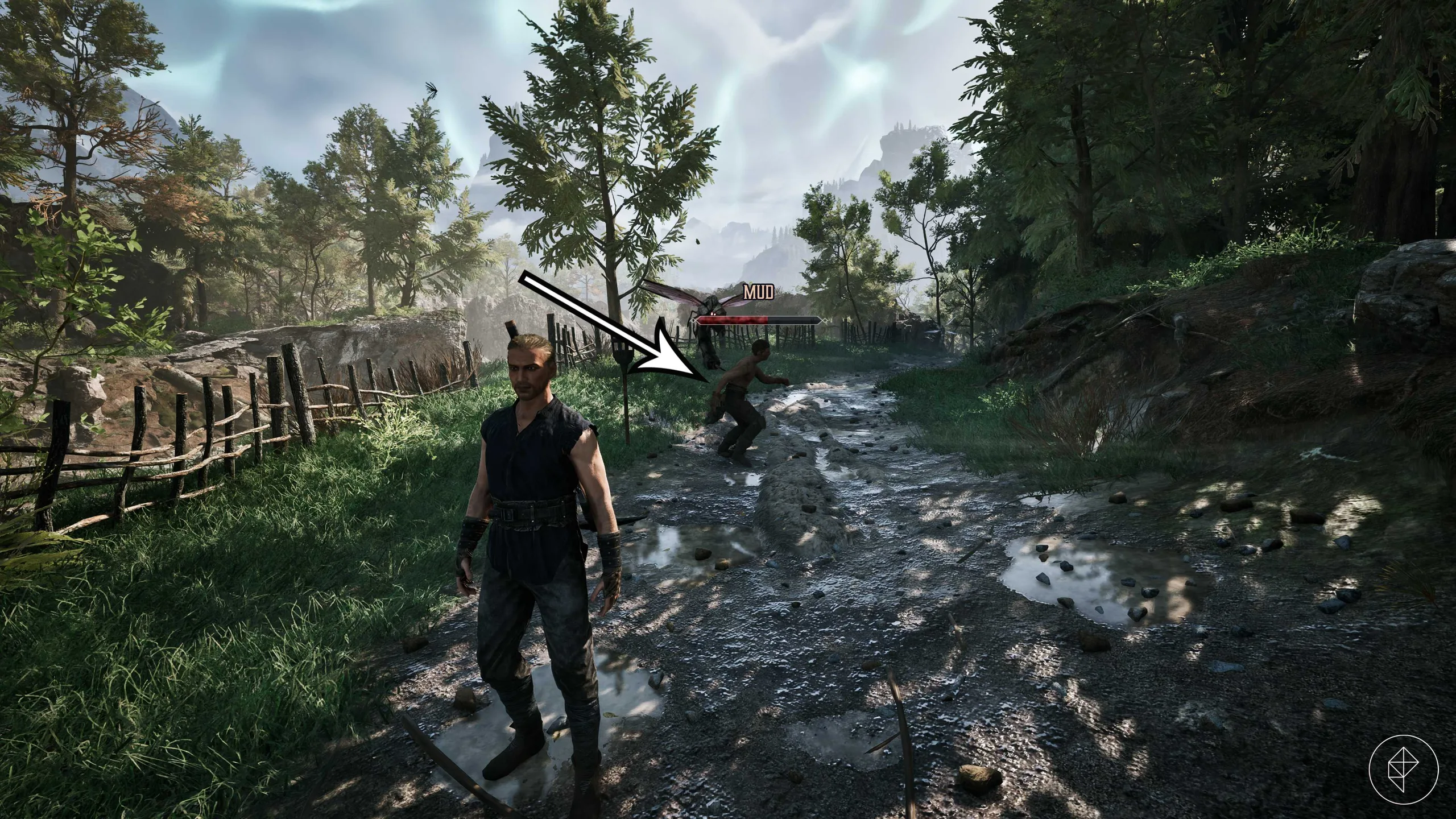 A blood fly kills Mud in Gothic 1 Remake.